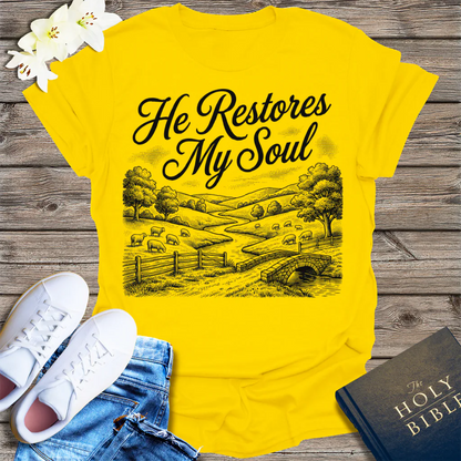 He Restores My Soul T-Shirt - Daisy