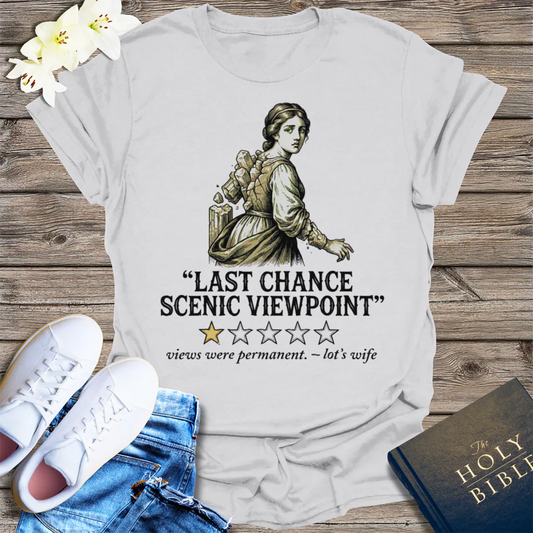 Last Chance Scenic Viewpoint T-Shirt - Ice Grey