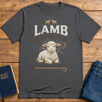 Lamb of Blessings T-Shirt - Charcoal