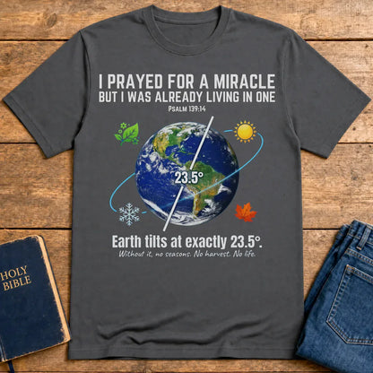 Divine Design Earth Tilt T-Shirt - Charcoal