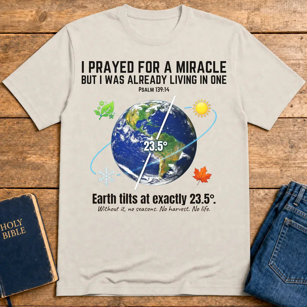 Divine Design Earth Tilt T-Shirt - Ice Grey