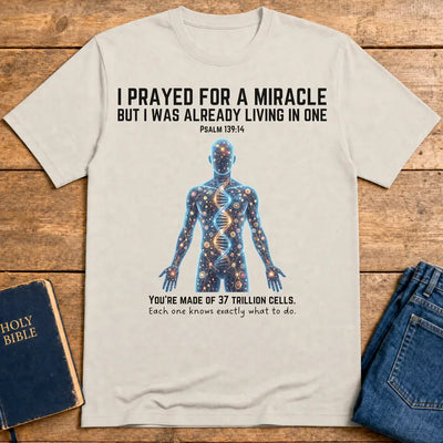 Fearfully & Wonderfully Made T-Shirt - Ice Grey