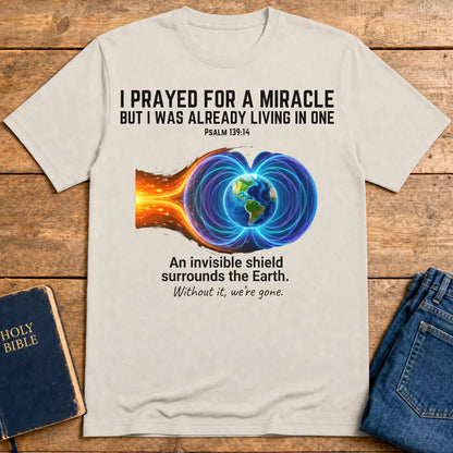 Invisible Shield Earth T-Shirt - Ice Grey