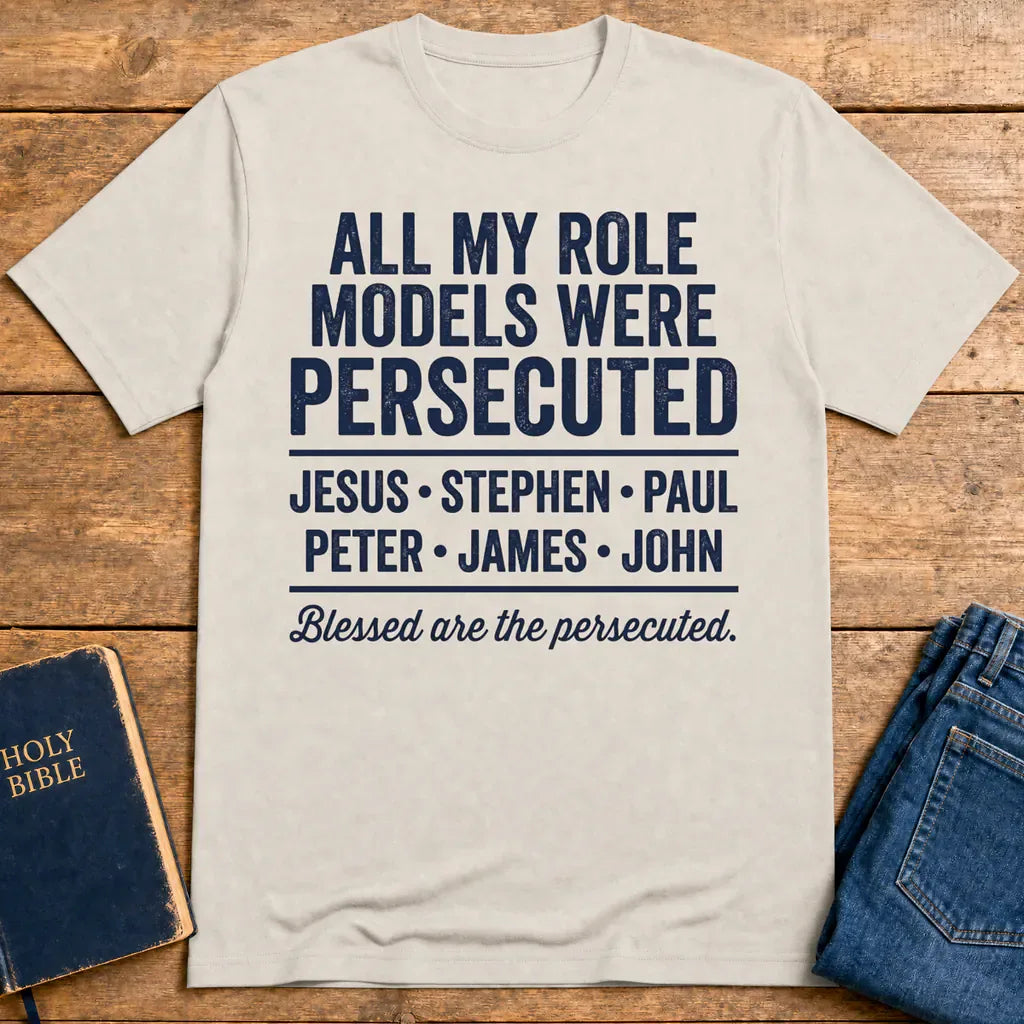 Persecuted Role Models T-Shirt - Ice Grey