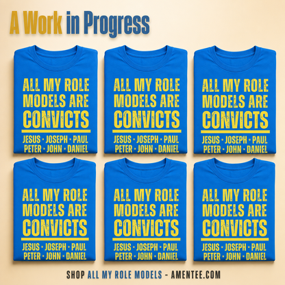 All My Role Models Are Convicts T-Shirt_6color_grid