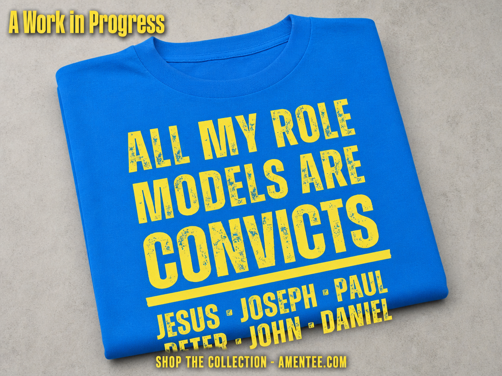 All My Role Models Are Convicts T-Shirt_fold_tilt