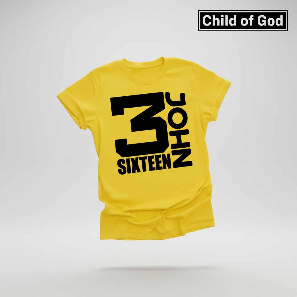 John 3:16 T-Shirt_3d_float