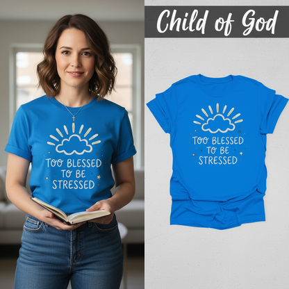 Too Blessed to Be Stressed T-Shirt_model_flat