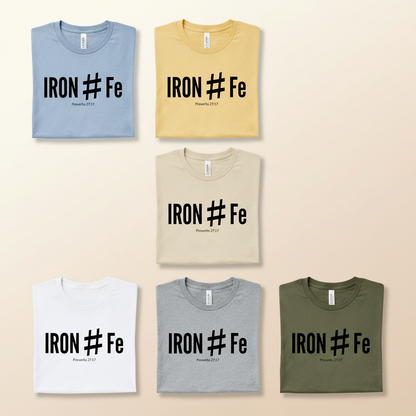 Iron Sharpens Iron T-Shirt_6color_grid