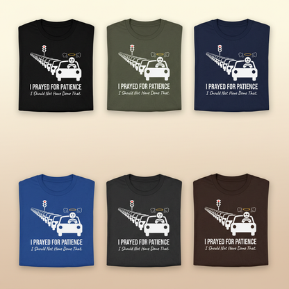 Prayed for Patience T-Shirt_6color_grid